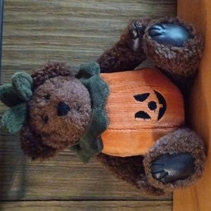 Boyd's Jack O Lantern Bear